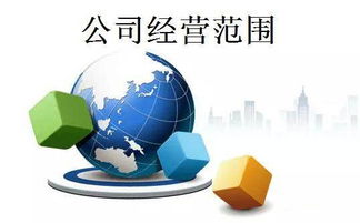 注冊一個服務類公司經(jīng)營范圍應該怎么寫